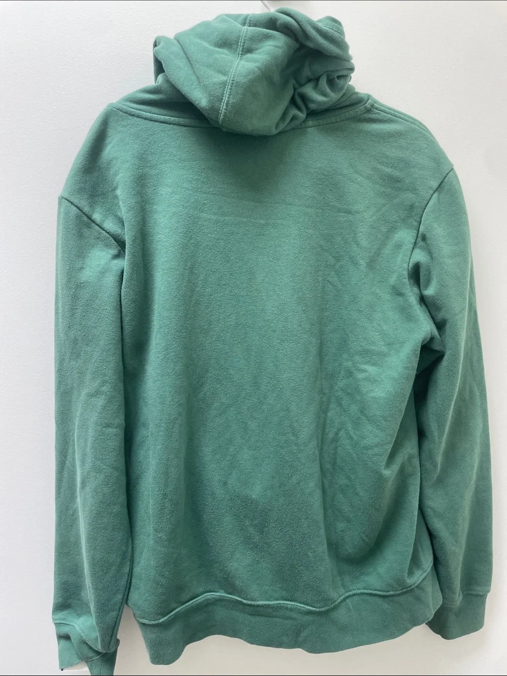 The North Face Fox Hoodie Green Men’s Medium RARE